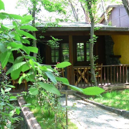 Dolunay Fanizan Hotel Фатса Экстерьер фото