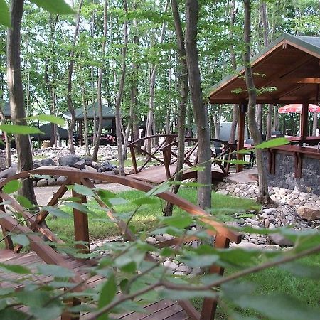 Dolunay Fanizan Hotel Фатса Экстерьер фото