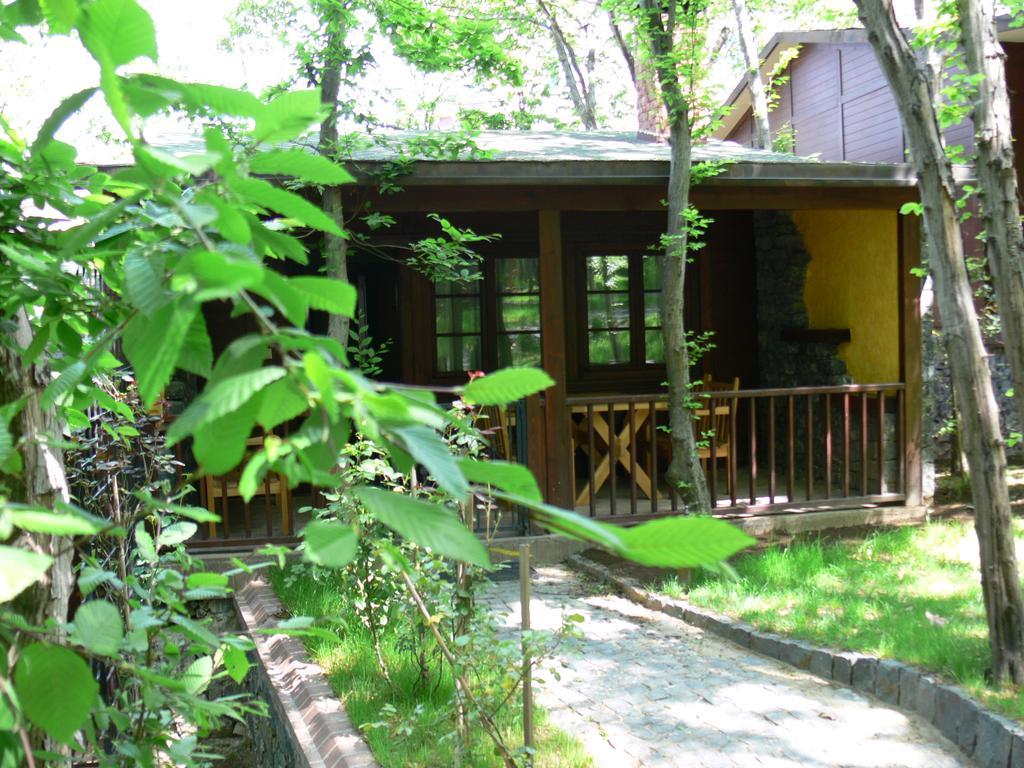 Dolunay Fanizan Hotel Фатса Экстерьер фото