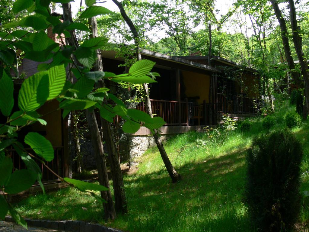 Dolunay Fanizan Hotel Фатса Номер фото